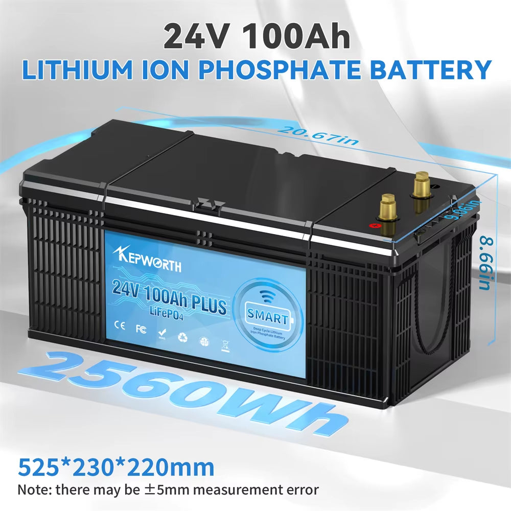 New 12V 24V 50Ah 100Ah 120Ah 180Ah 200Ah 300Ah Lithium Iron Phosphate Battery for Golf Cart EV RV Solar Energy Trolling Motor