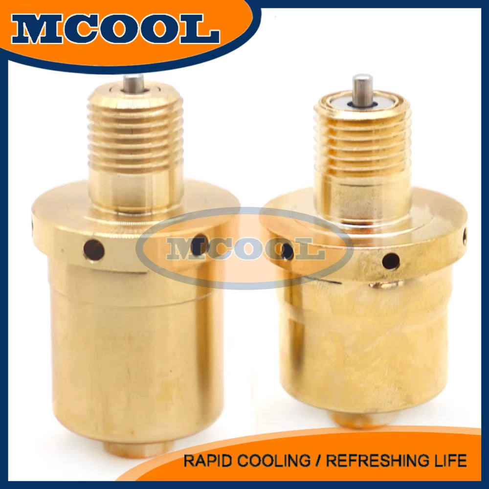 NEW AC Air Conditioning Compressor Control Valve for FORD PEUGEOT RENAULT VOLKSWAGEN CITROEN SANDEN SD7V16 SD7V12